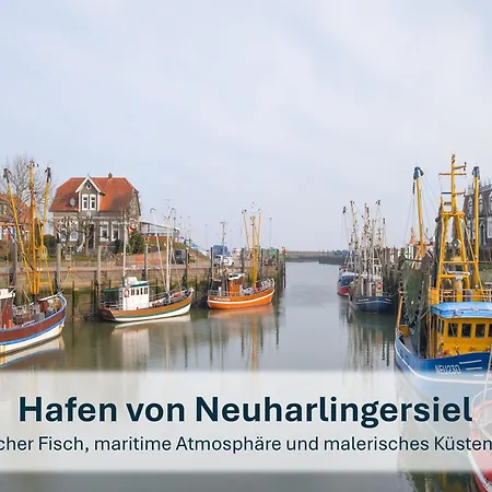 Stedesdorf, 'seehund' * Stedesdorf